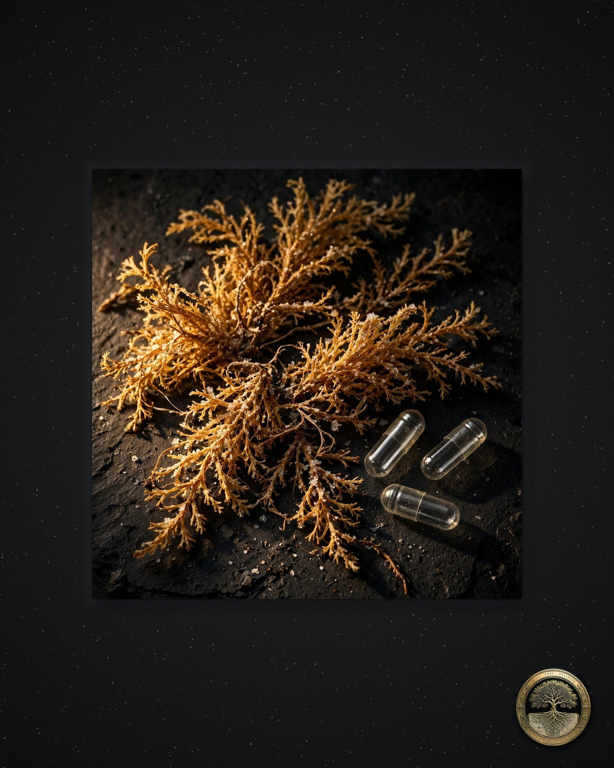 Framed lead — winter slate frame, Rooted Goods seal