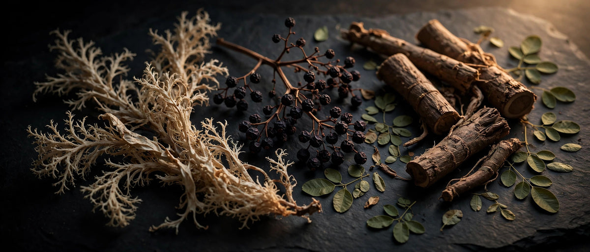 Cold Season Shelf — Winter Wellness Bundle
