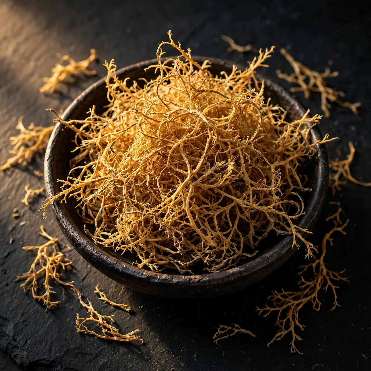 Dried Sea Moss — Atlantic Irish Moss, 4 oz