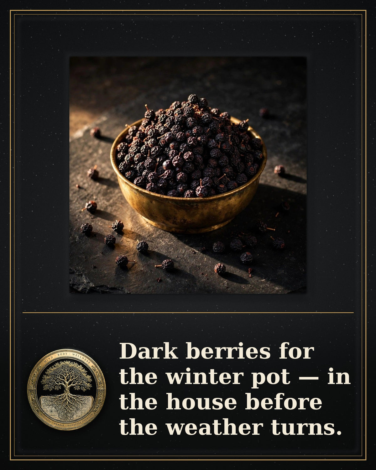 Rooted Goods Co. — Dried Elderberries — Organic, 4 oz