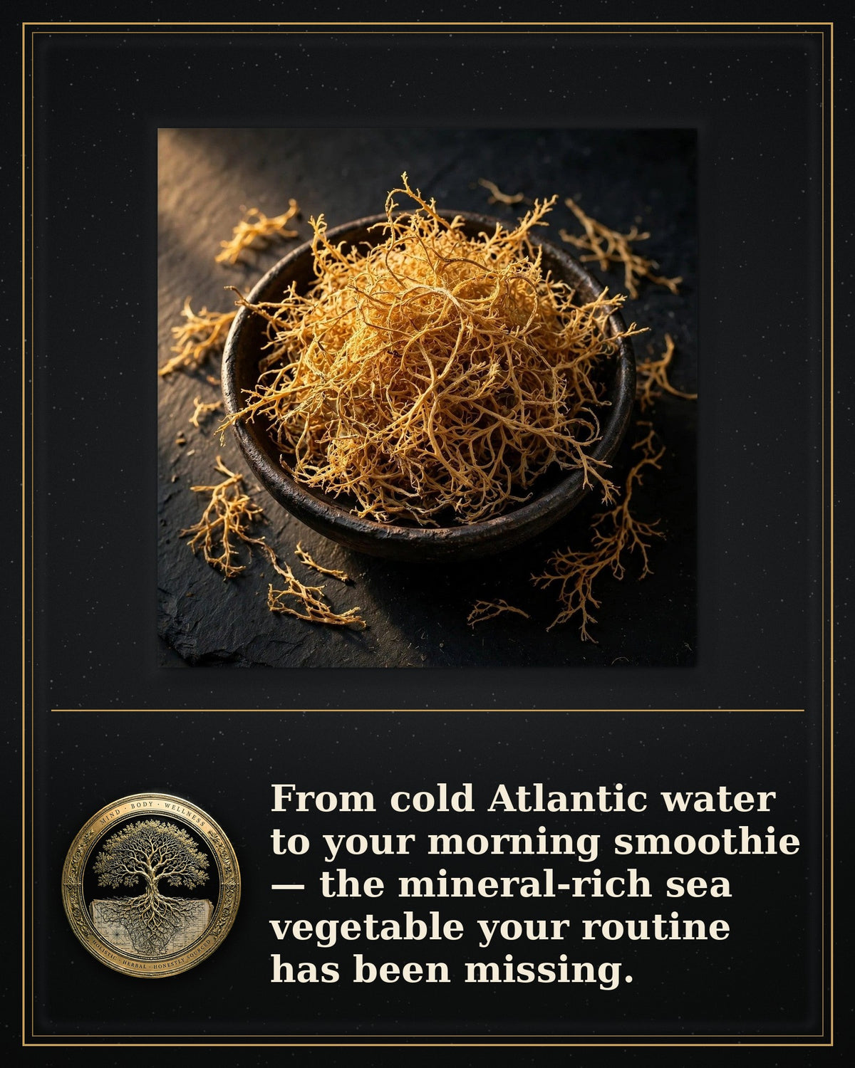 Rooted Goods Co. — Dried Sea Moss — Atlantic Irish Moss, 4 oz