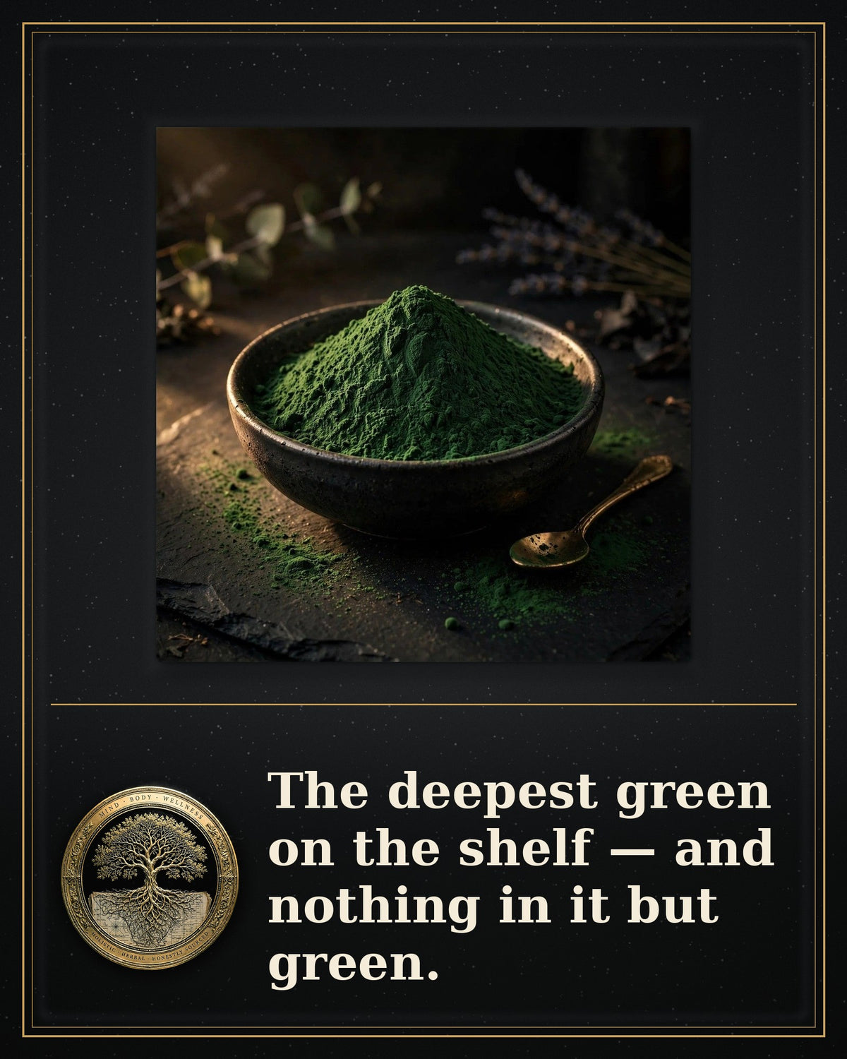 Rooted Goods Co. — Spirulina Powder — Organic, 1 lb