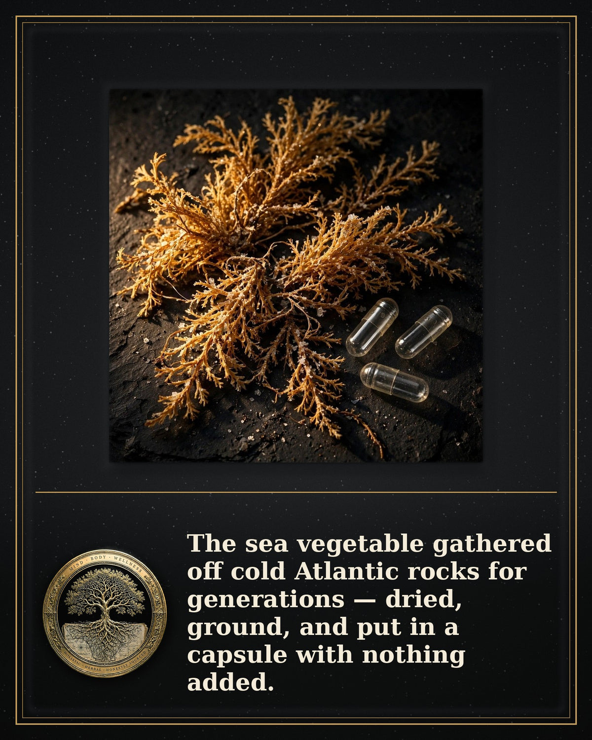 Rooted Goods Co. — Sea Moss Capsules — Irish Sea Moss, 60 Capsules