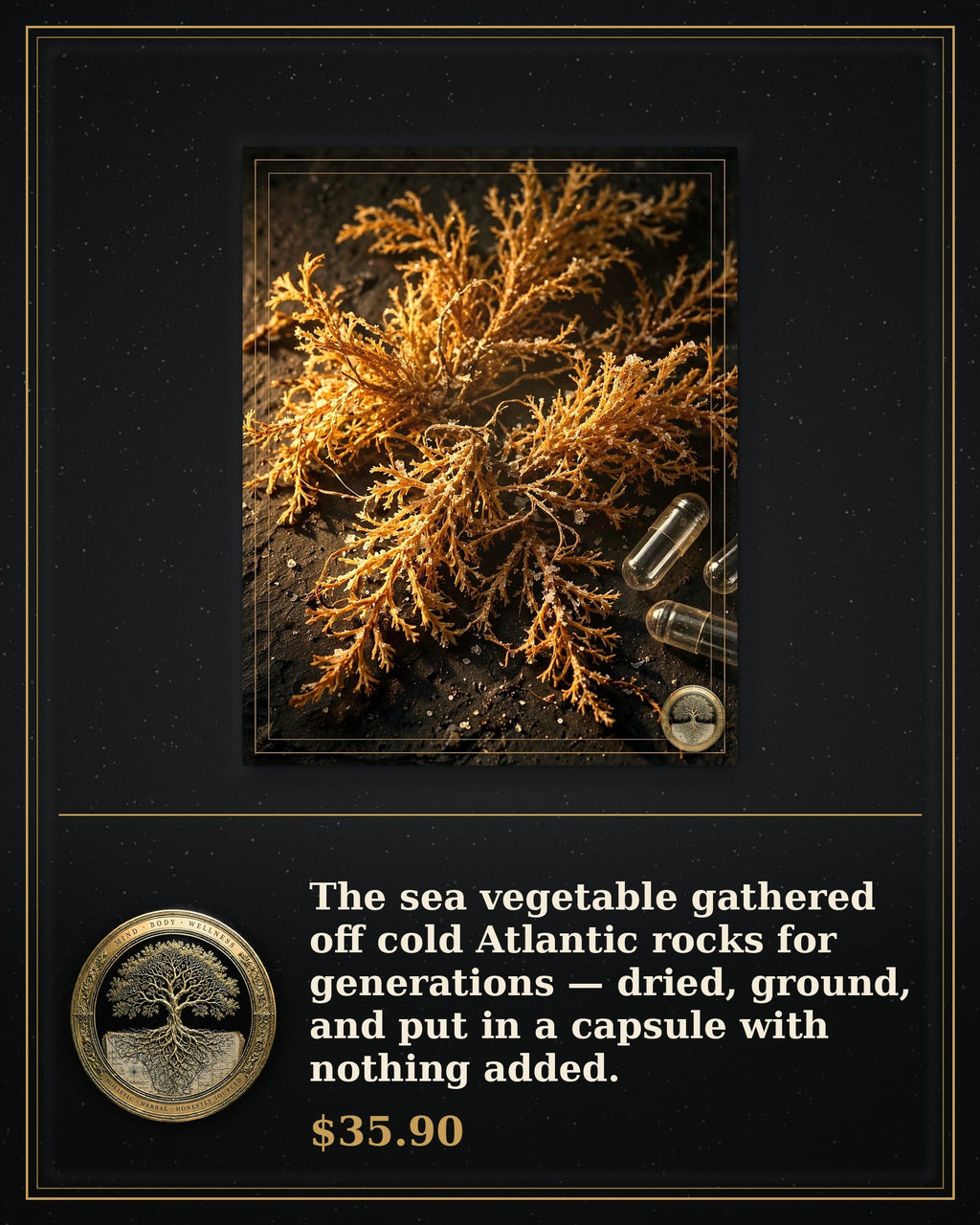 Rooted Goods Co. — Sea Moss Capsules — Irish Sea Moss, 60 Capsules