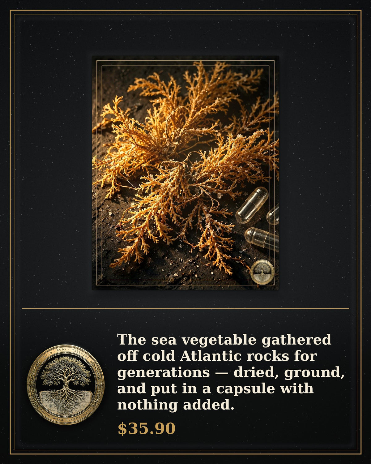 Rooted Goods Co. — Sea Moss Capsules — Irish Sea Moss, 60 Capsules