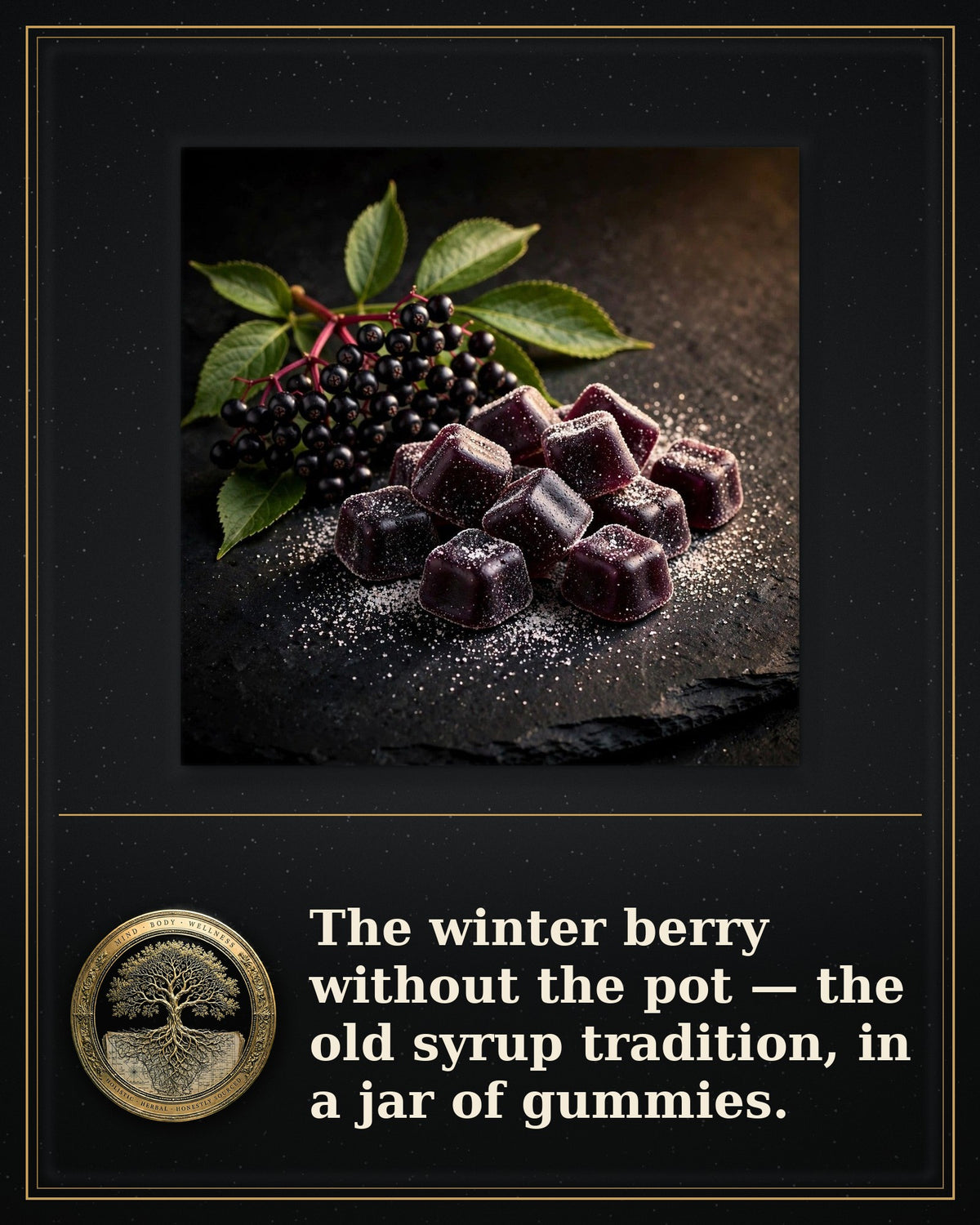 Rooted Goods Co. — Elderberry Gummies — Black Elderberry, 60 Gummies